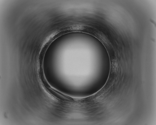 X0000097750726200803141556