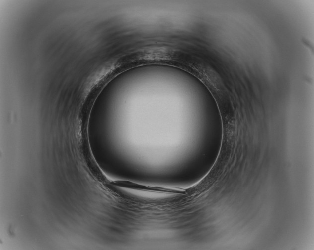 X0000097750727200803141556