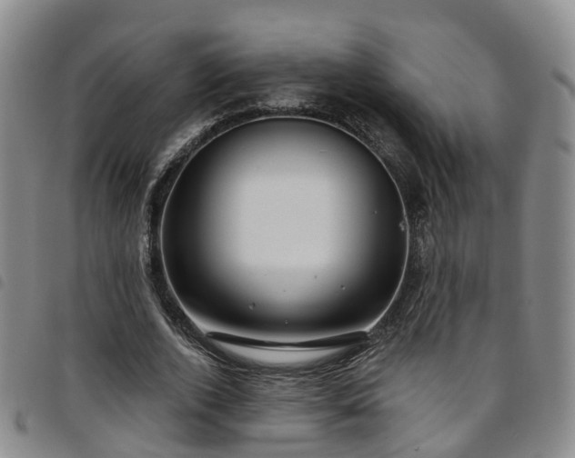 X0000097750728200803141556