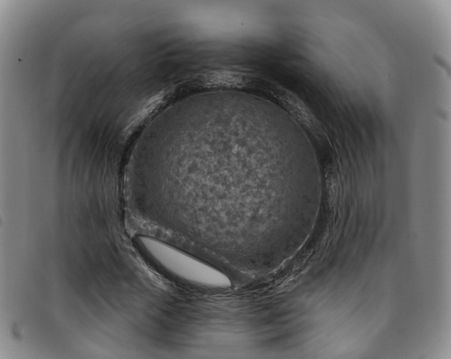 X0000097750729200803141556