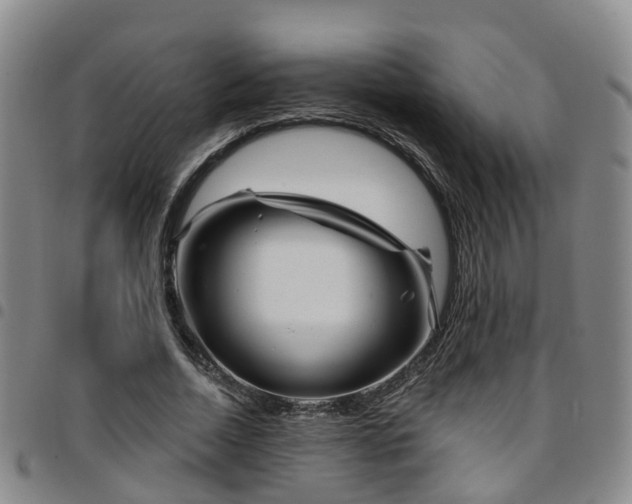 X0000097750730200803141556