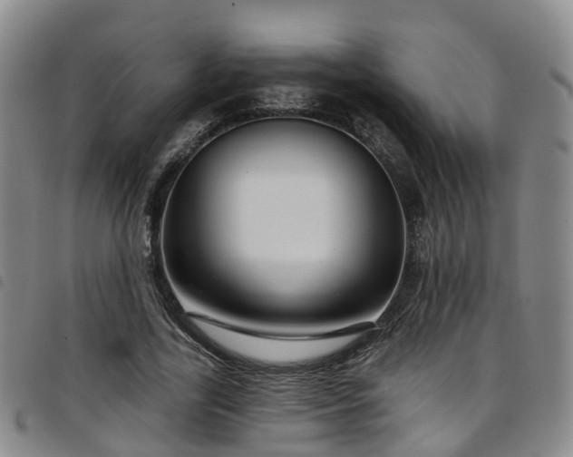 X0000097750731200803141556