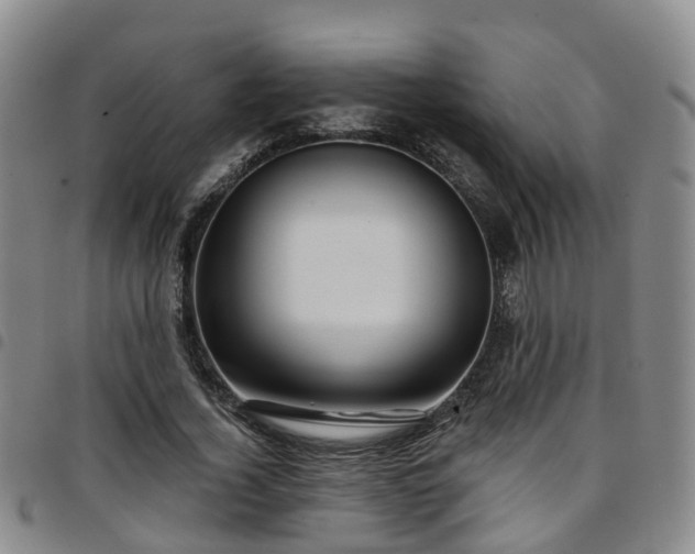 X0000097750732200803141556