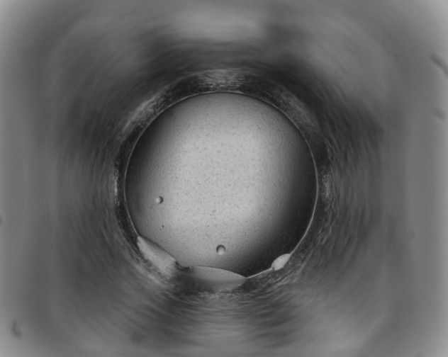 X0000097750733200803141556