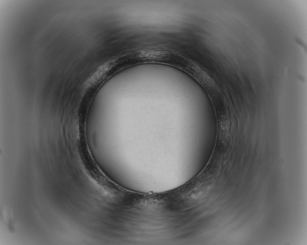 X0000097750734200803141556