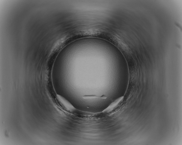 X0000097750736200803141556