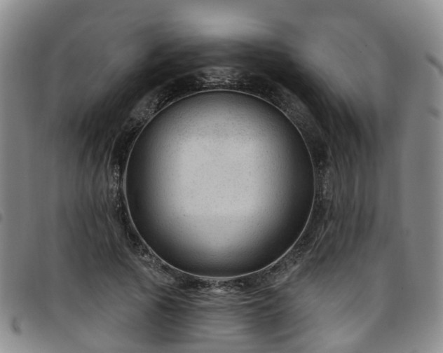 X0000097750737200803141556