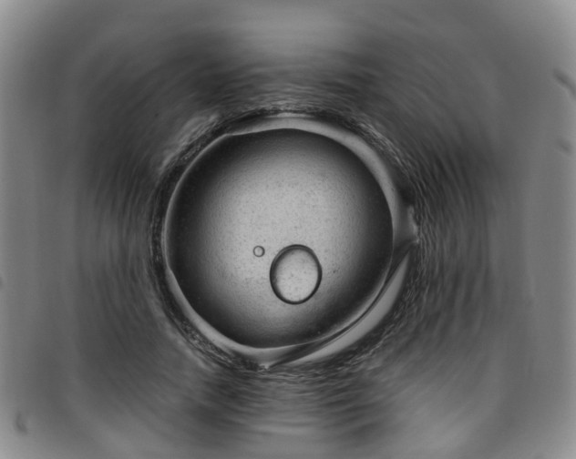 X0000097750738200803141556