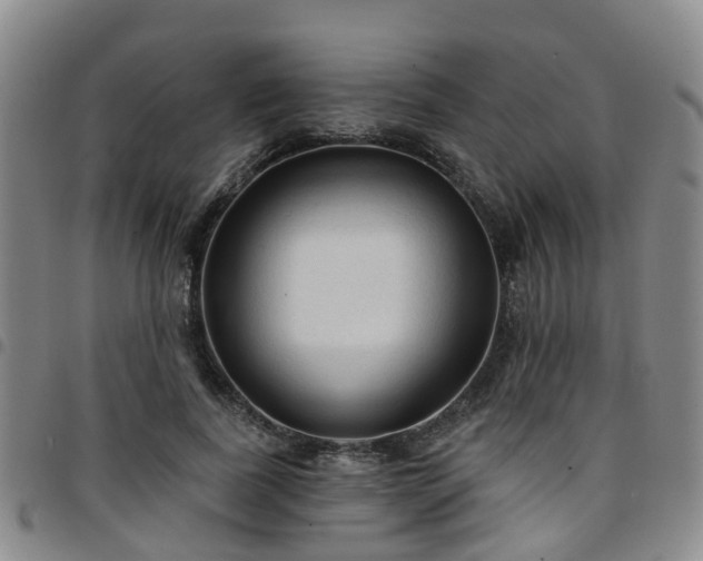 X0000097750739200803141556