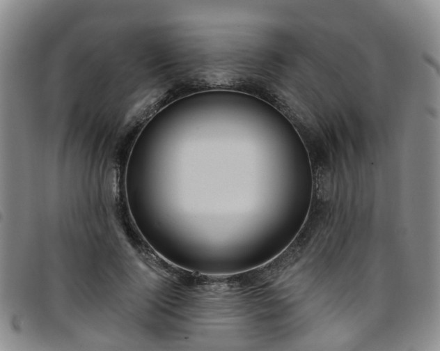 X0000097750740200803141556