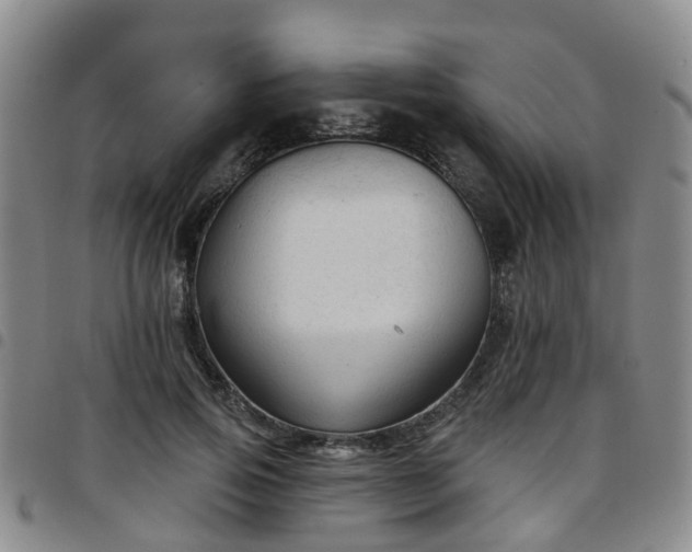 X0000097750741200803141556