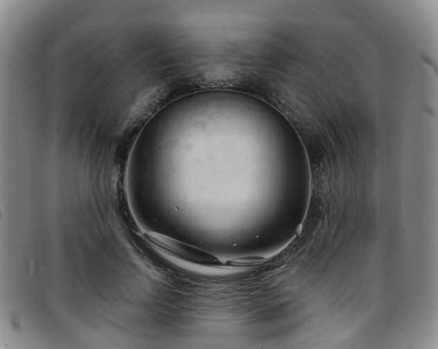 X0000097750742200803141556