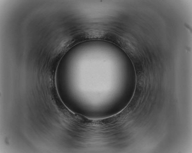 X0000097750743200803141556