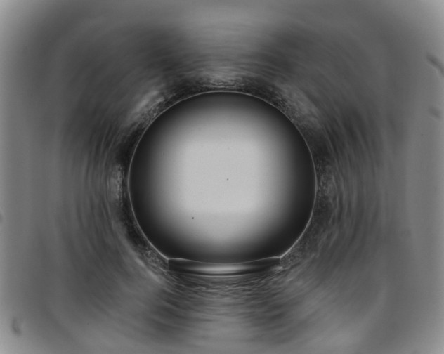 X0000097750744200803141556