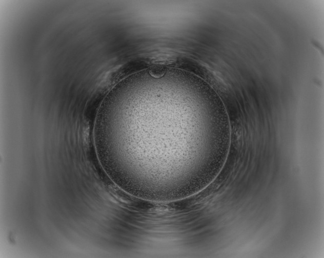 X0000097750745200803141556