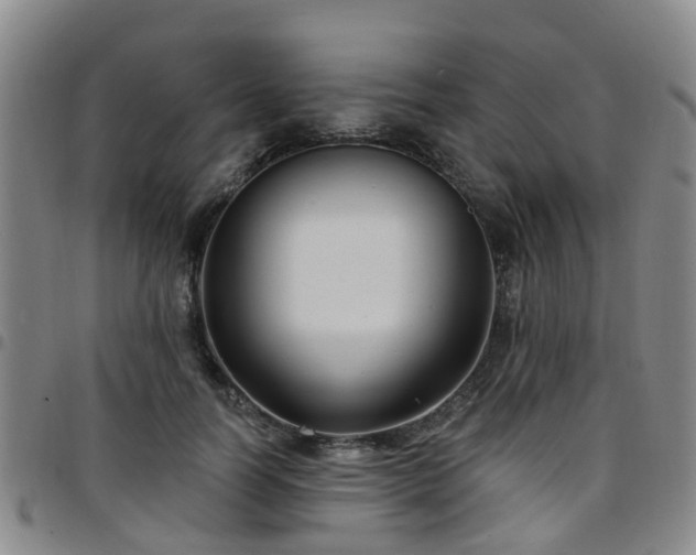 X0000097750746200803141556