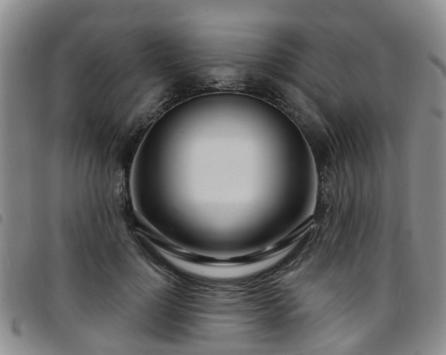 X0000097750748200803141556