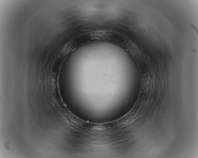 X0000097750749200803141556