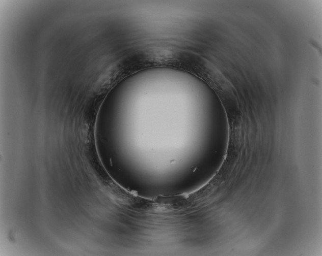 X0000097750750200803141556