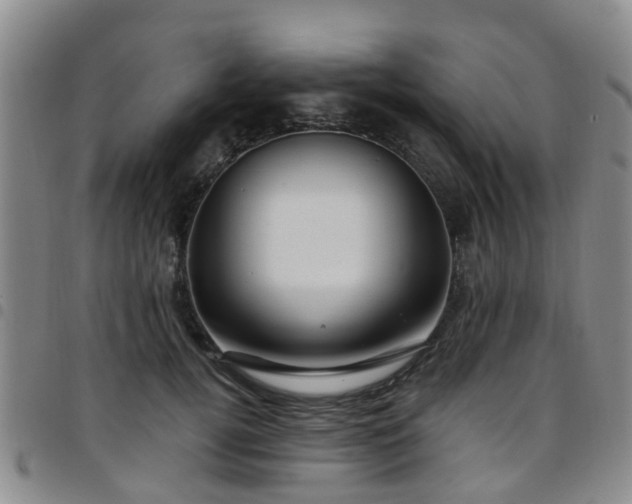 X0000097750752200803141556