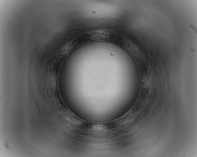 X0000097750753200803141556