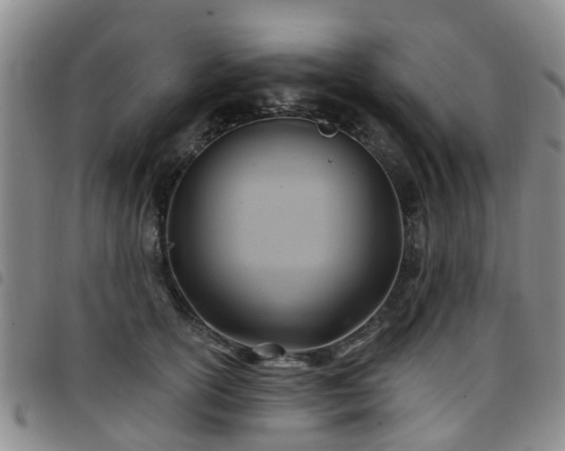 X0000097750754200803141556