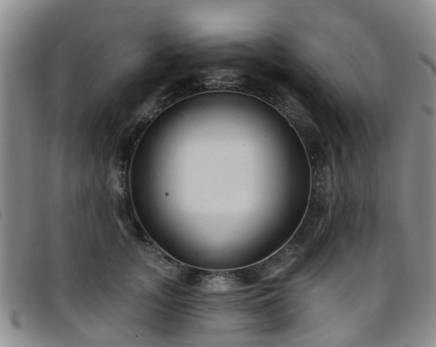 X0000097750755200803141556