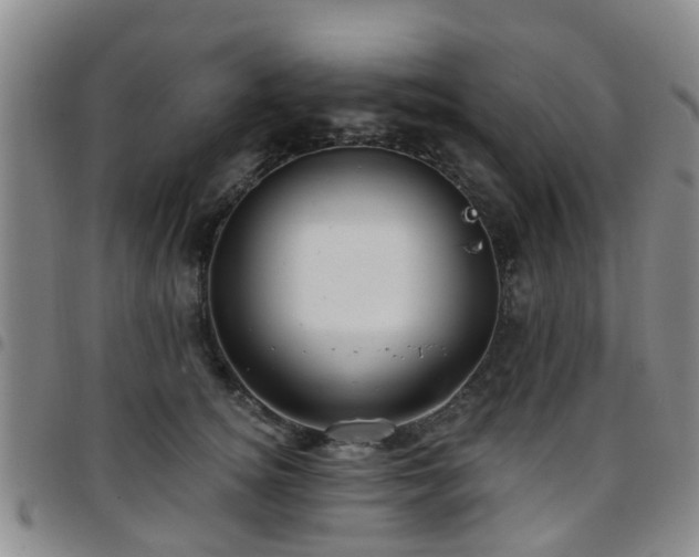 X0000097750756200803141556