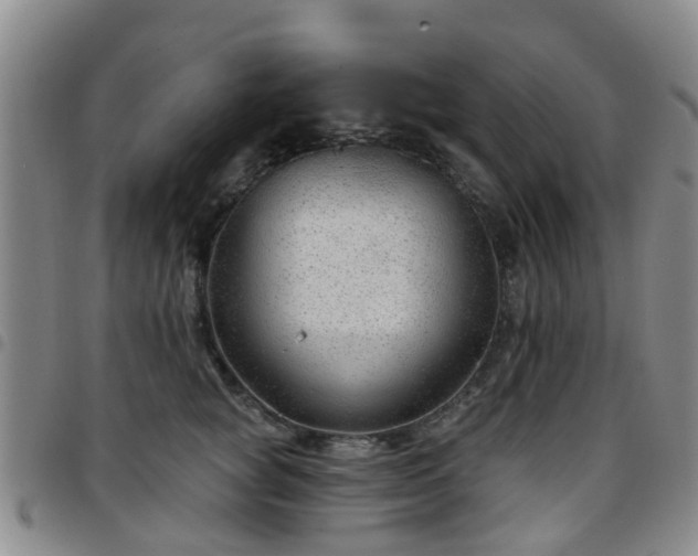 X0000097750757200803141556