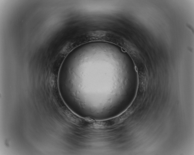 X0000097750758200803141556