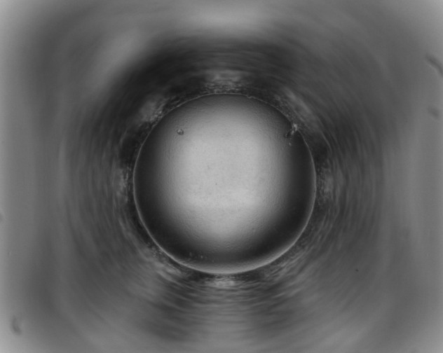 X0000097750759200803141556