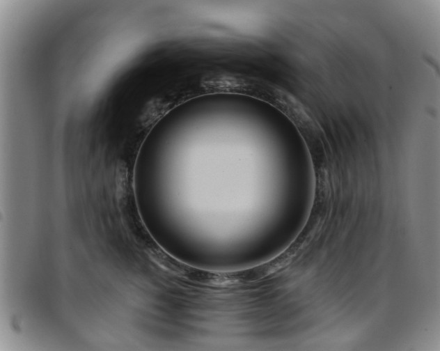 X0000097750760200803141556