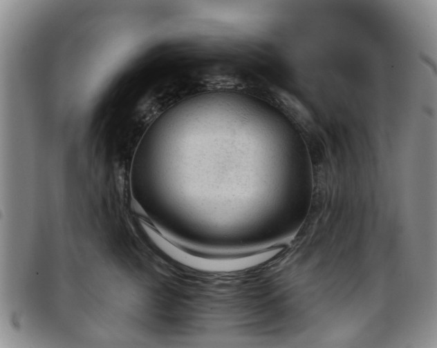 X0000097750761200803141556