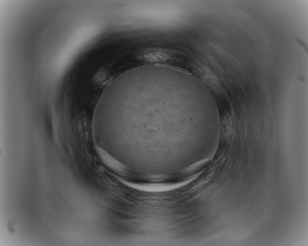 X0000097750762200803141556