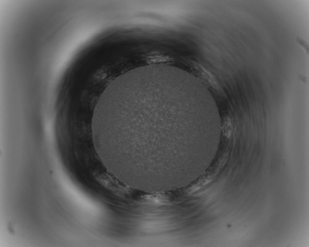 X0000097750763200803141556