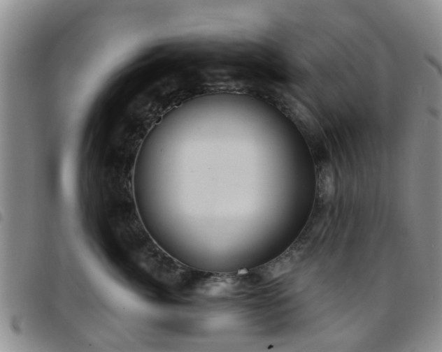 X0000097750764200803141556