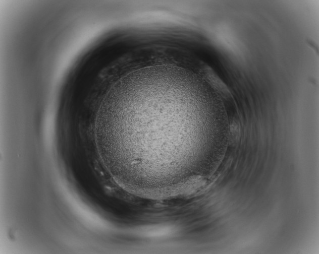 X0000097750765200803141556