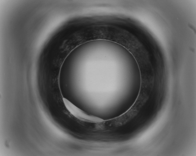 X0000097750766200803141556