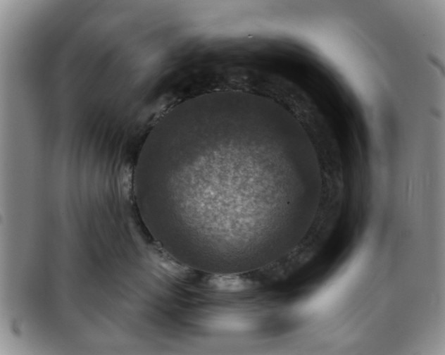 X0000097750767200803141556