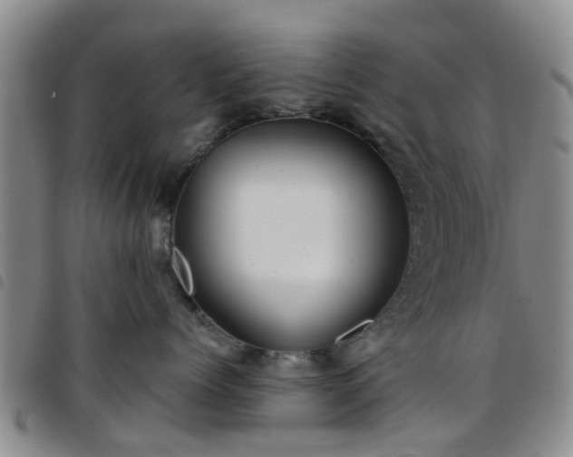 X0000097750768200803141556