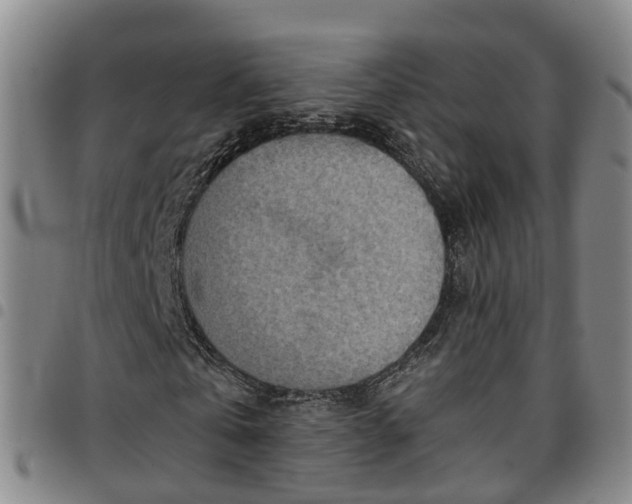 X0000097750769200803141556