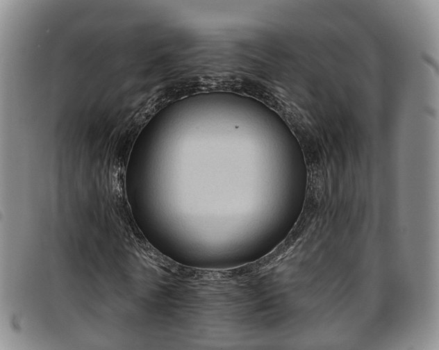 X0000097750770200803141556