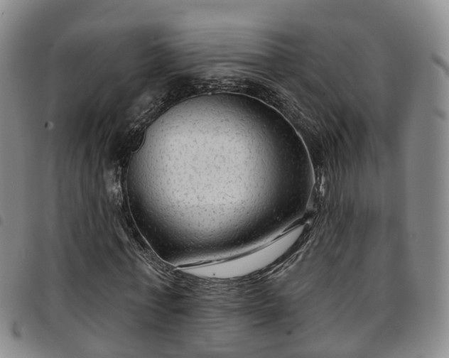 X0000097750771200803141556