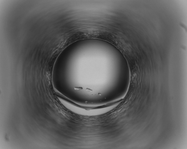 X0000097750772200803141556