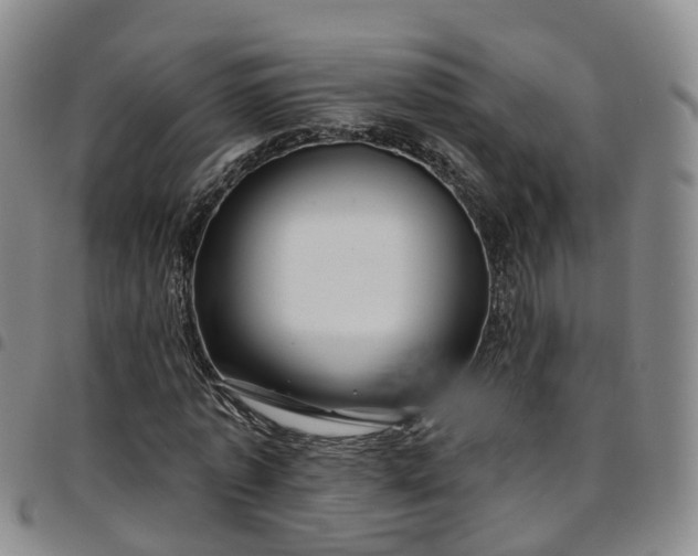 X0000097750773200803141556