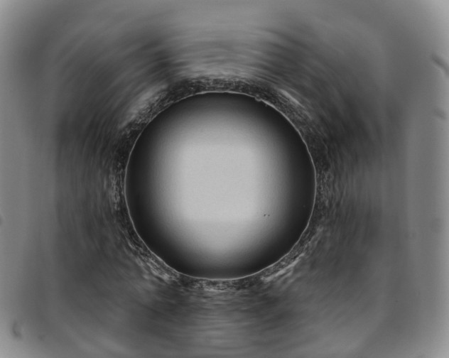 X0000097750774200803141556