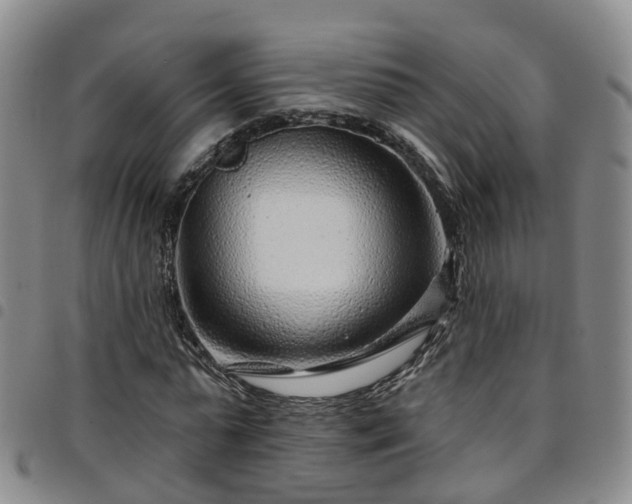 X0000097750775200803141556