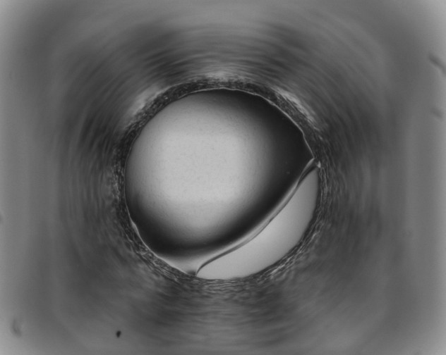 X0000097750776200803141556