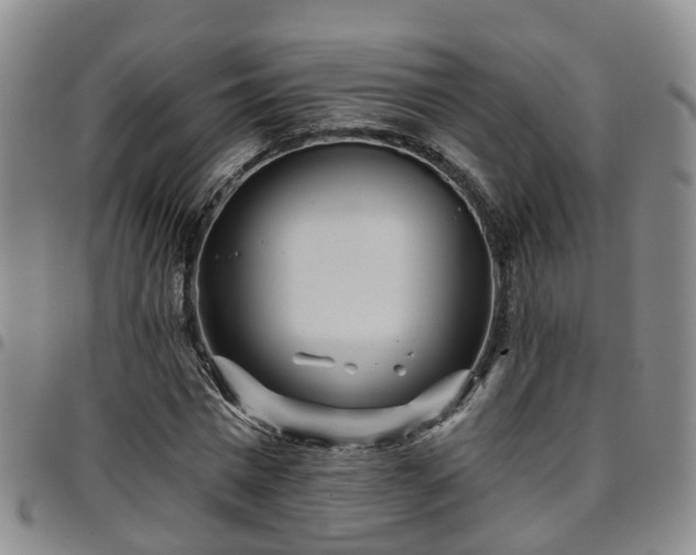 X0000097750777200803141556