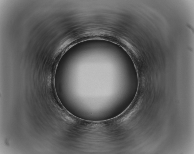 X0000097750778200803141556